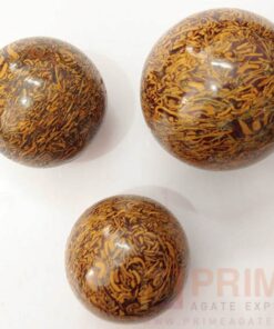 SeaFossil(Maryam)-Balls